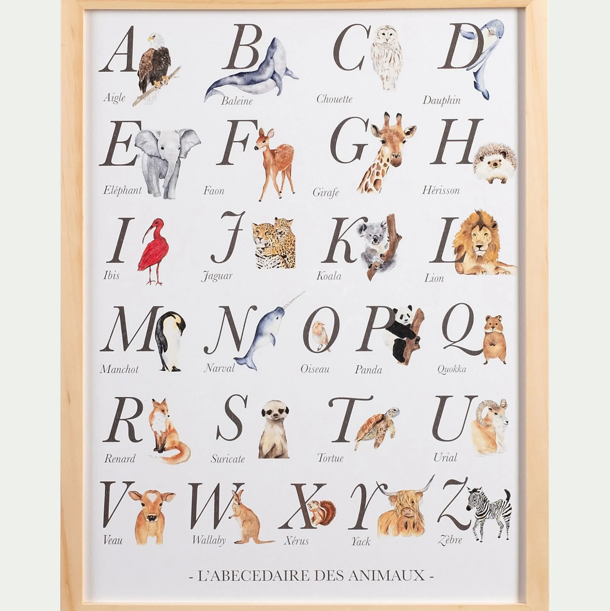Abécédaire illustré et encadré A3