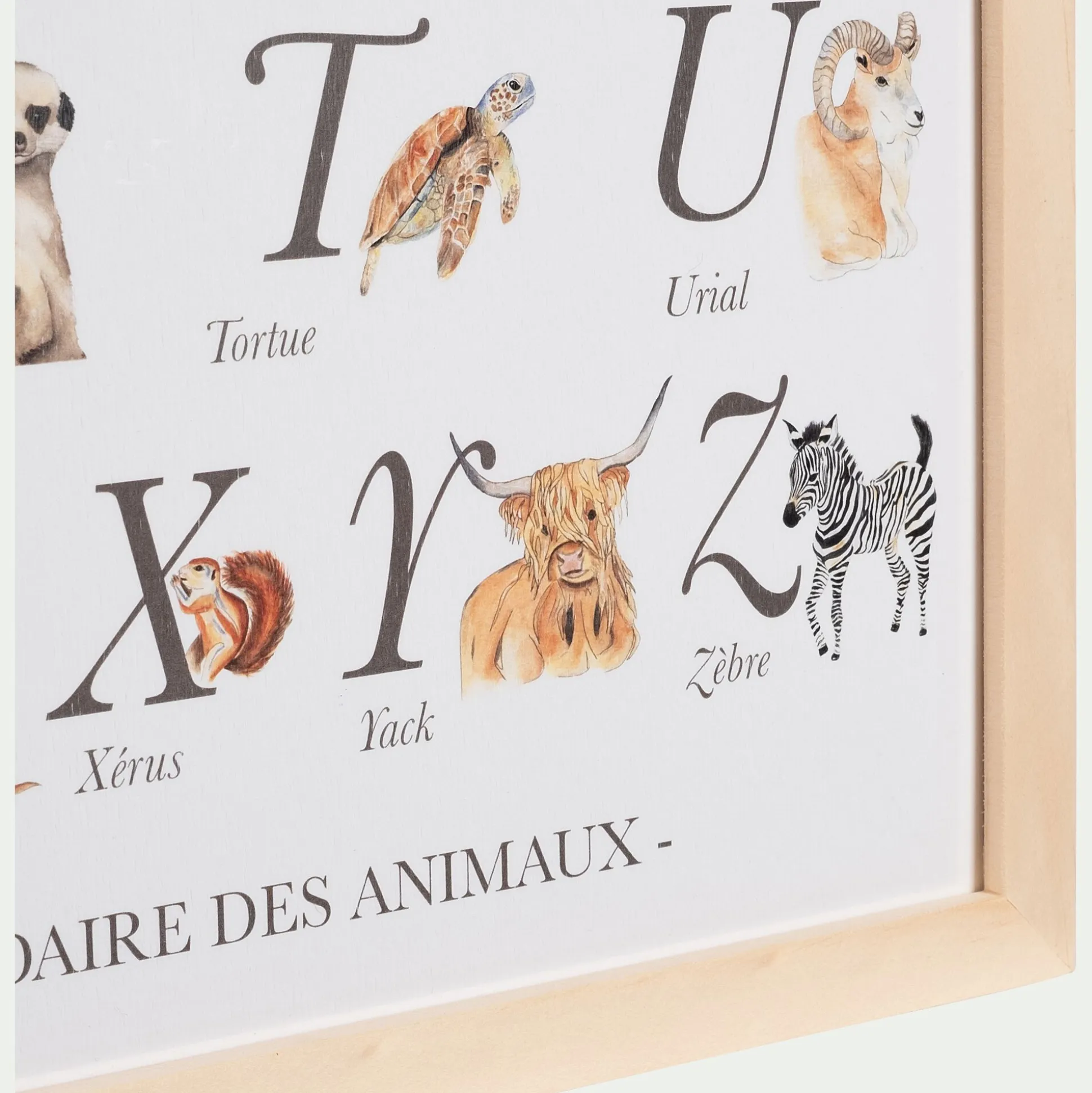 Abécédaire illustré et encadré A3