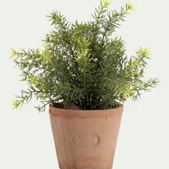 Asparagus artificiel H22,5cm - vert