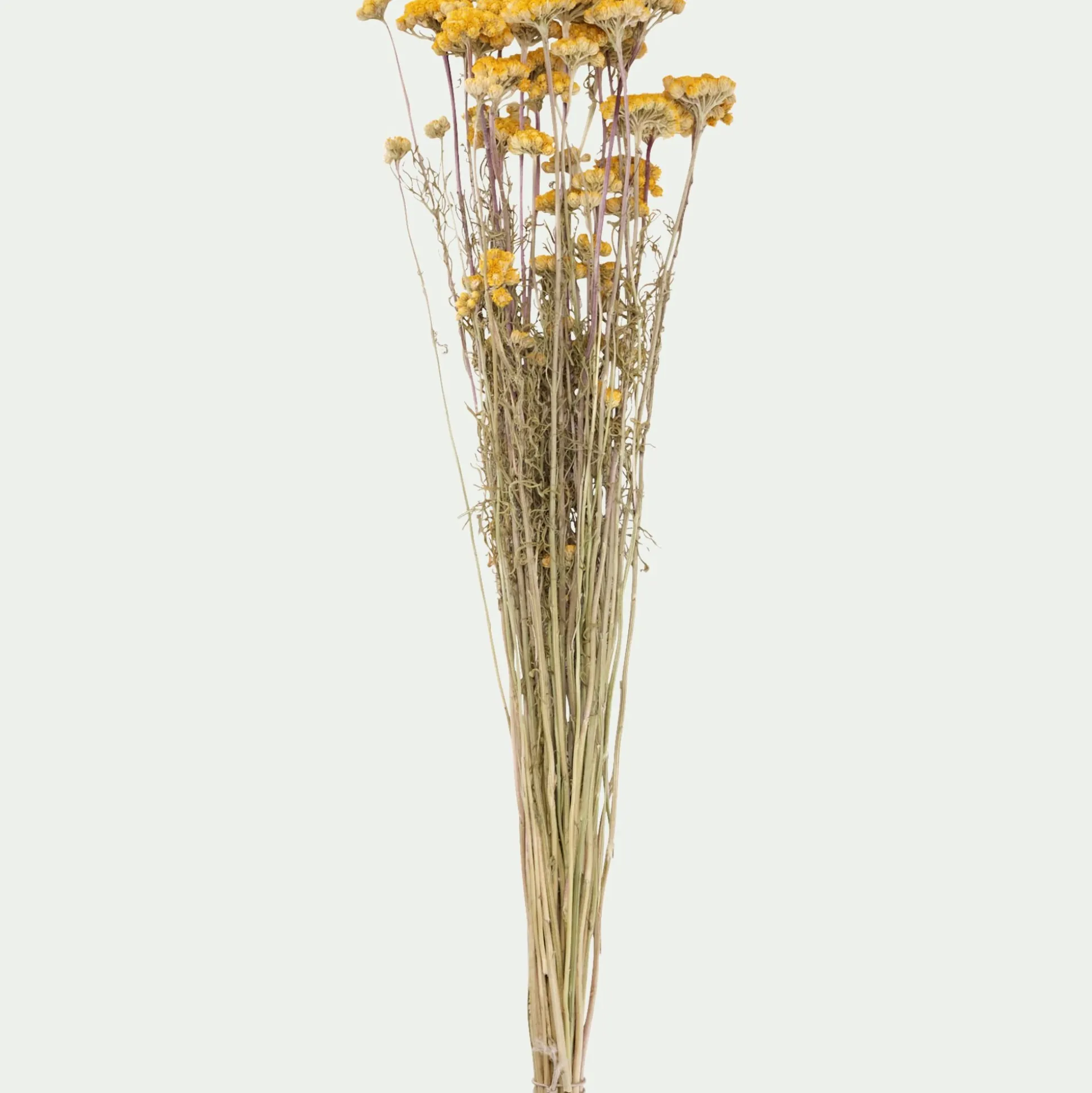 Botte de lona séchée 35cm - jaune