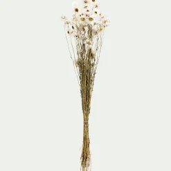 Bottes de marguerites séchées 55cm - blanc