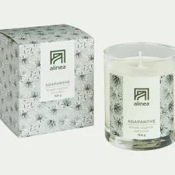 Bougie parfumée senteur Agapanthe 160g