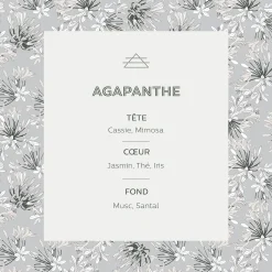 Bougie parfumée senteur Agapanthe 160g
