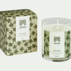Bougie parfumée senteur Figuier 160g