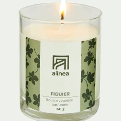 Bougie parfumée senteur Figuier 160g