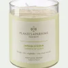 Bougie parfumée senteur Jardin d'Eden 180g