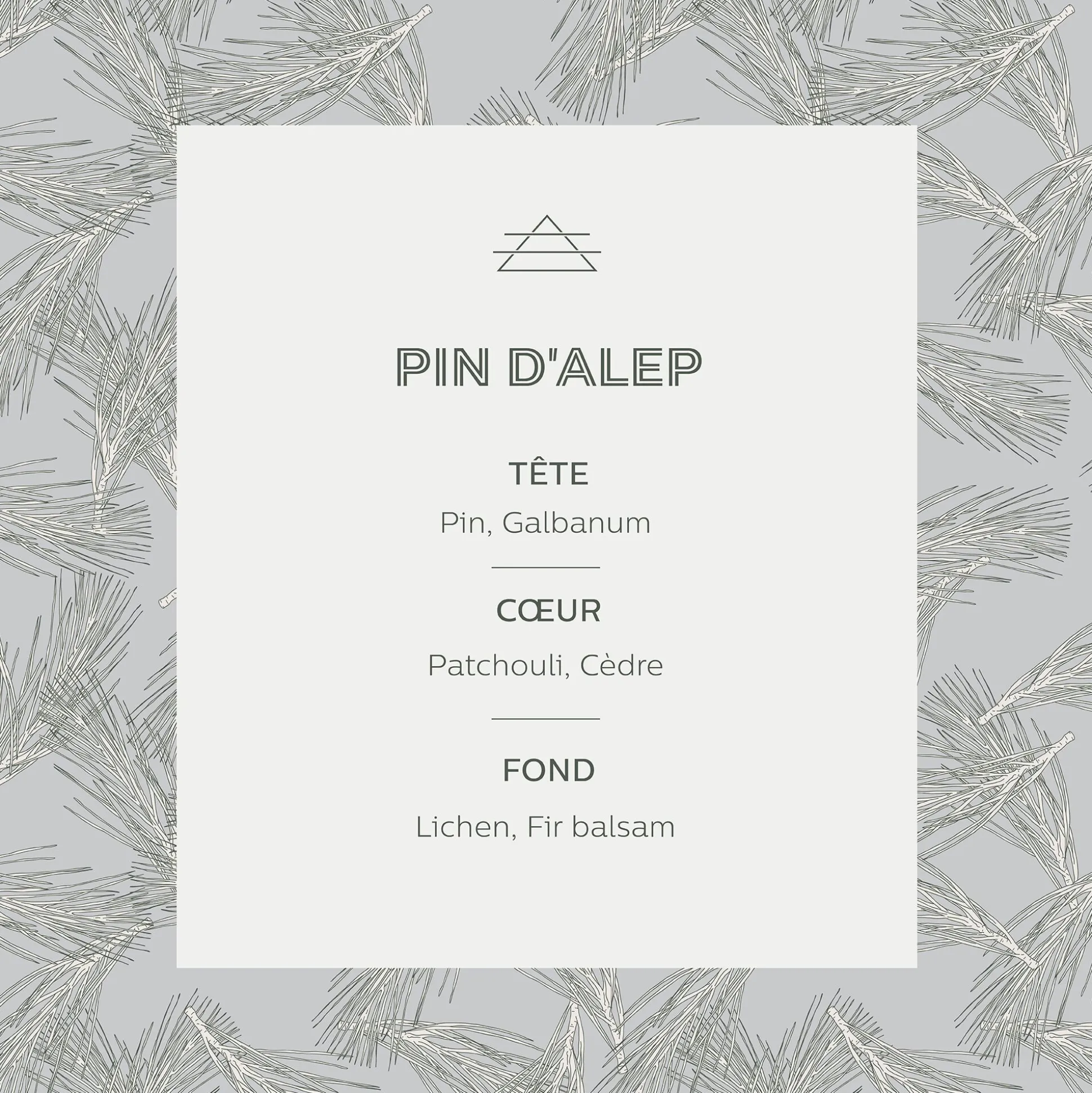 Bougie parfumée senteur Pin d'Alep 160g