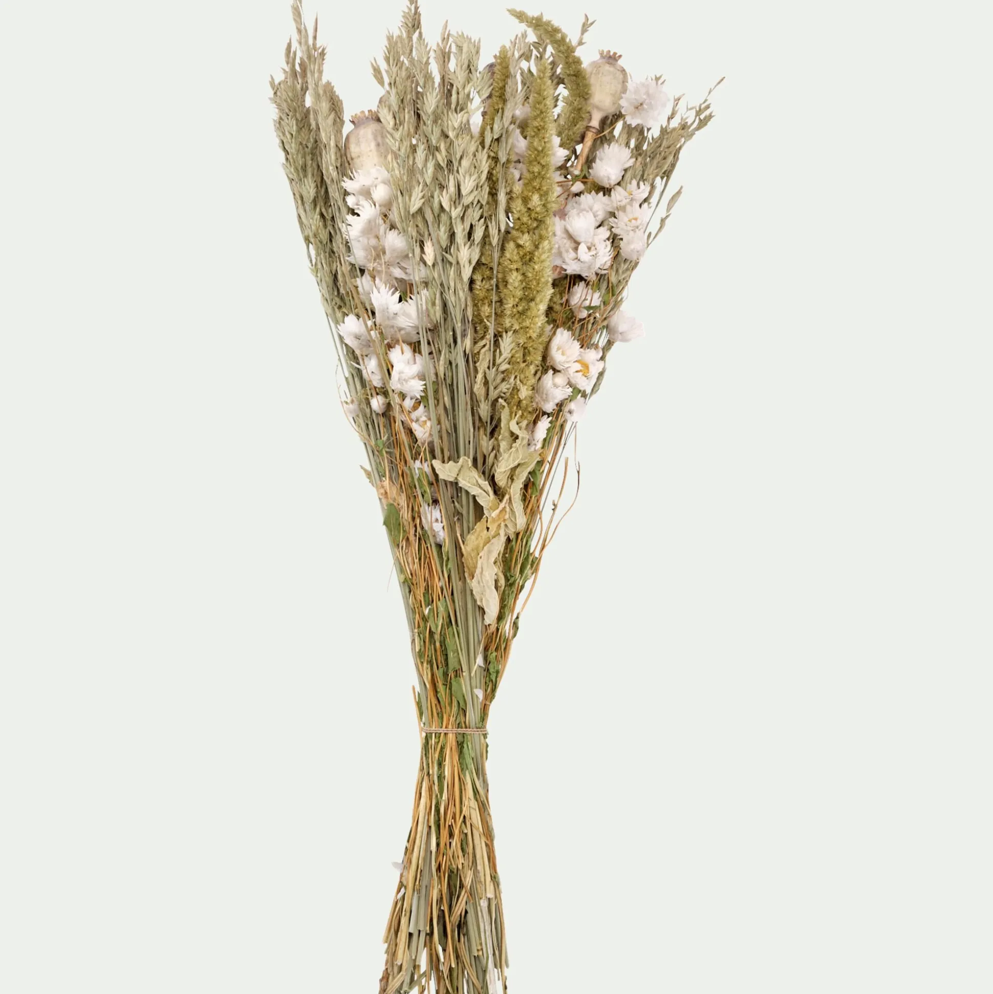 Bouquet de fleurs séchées 50cm - blanc