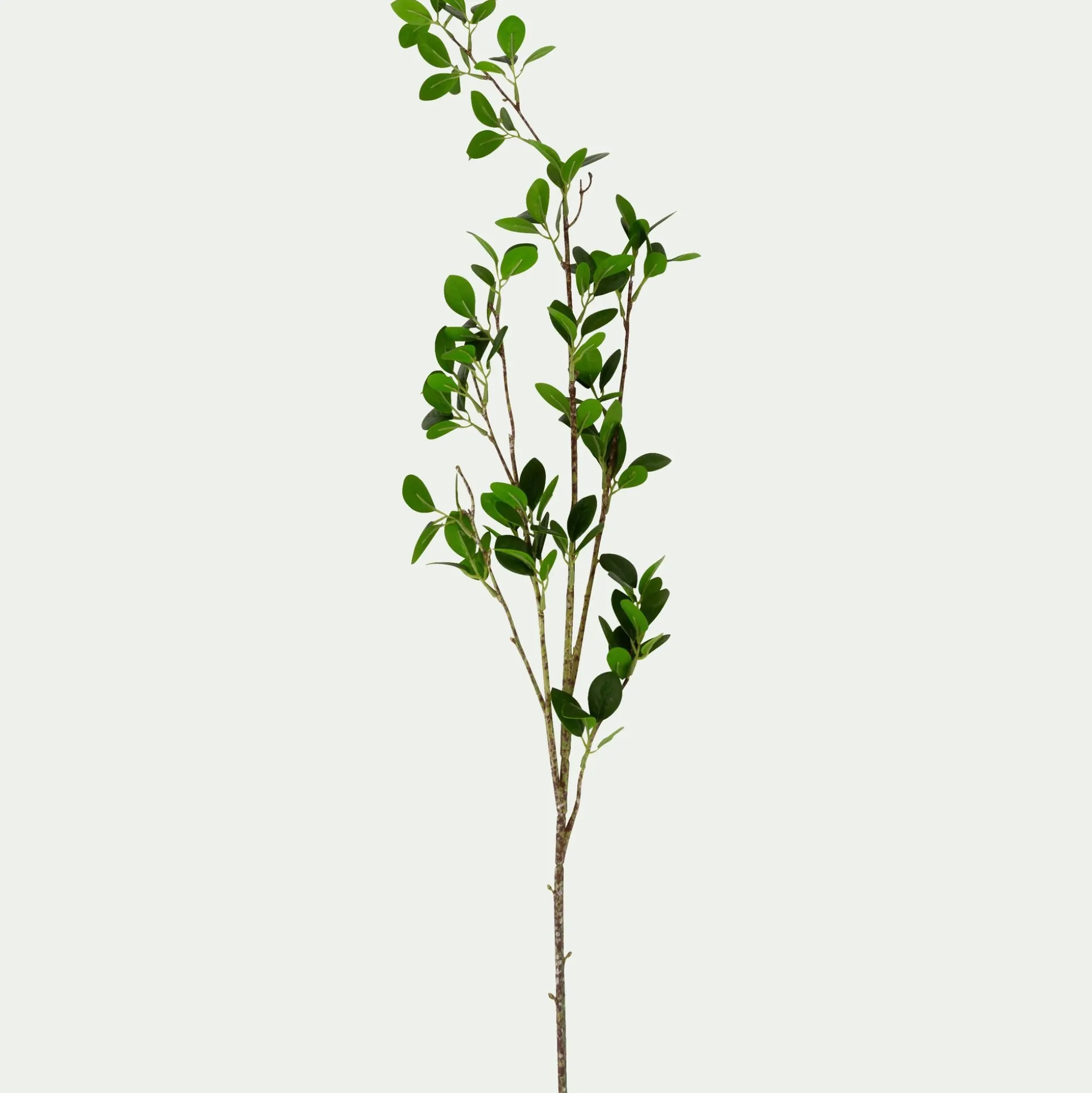 Branche artificielle de laurier - vert H70cm