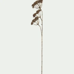 Branche d'Heracleum artificielle H109 - marron
