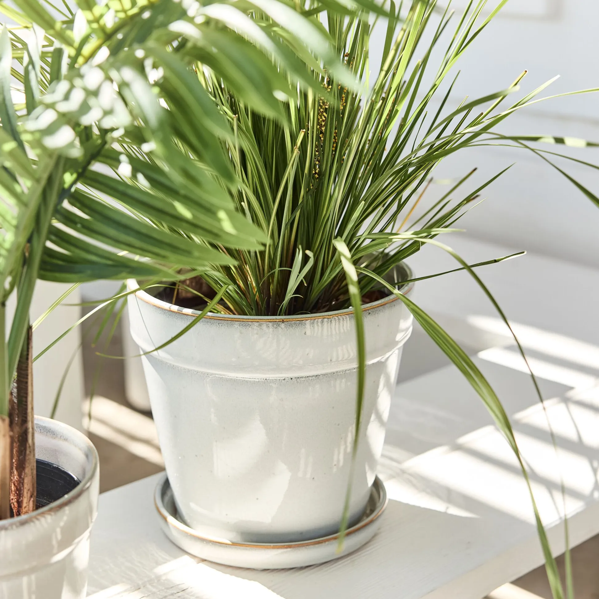 Cache-pot et sa coupelle en céramique D23cm - blanc cassé