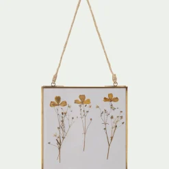 Cadre décoratif avec fleurs séchées 20x20cm - doré