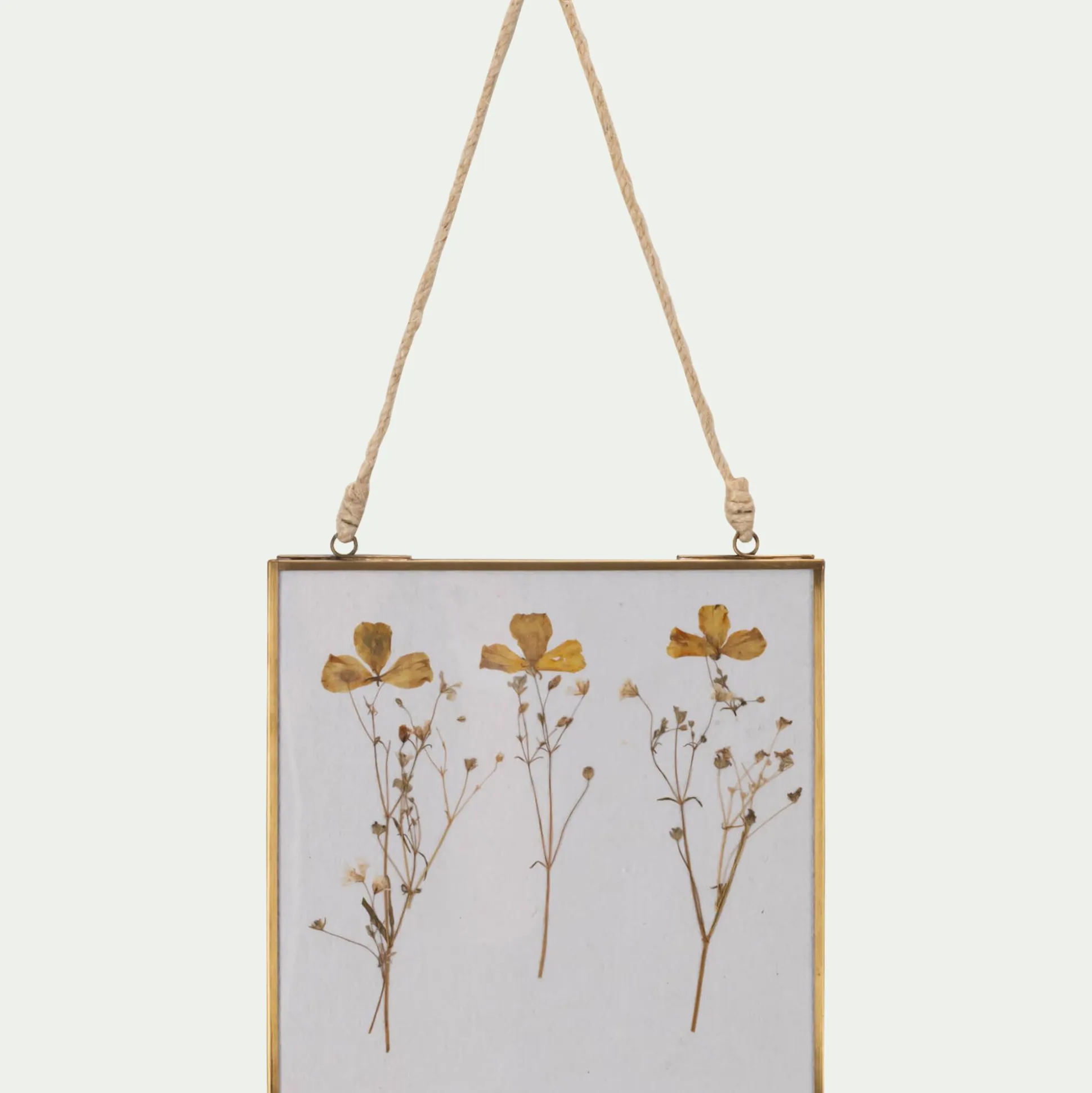 Cadre décoratif avec fleurs séchées 20x20cm - doré