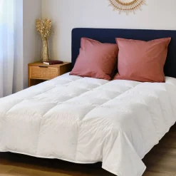 Couette tempérée en duvet et plumettes de canard 260x240cm - blanc