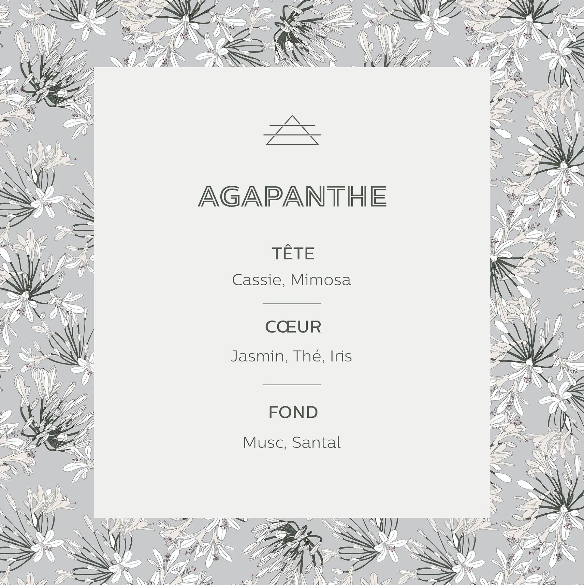 Diffuseur de parfum senteur Agapanthe 100ml