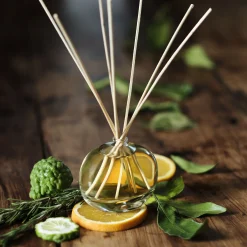 Diffuseur de parfum senteur Bois d'Orient 100ml