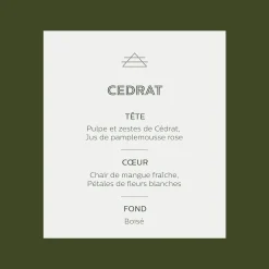Diffuseur de parfum senteur Cédrat 100ml