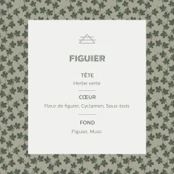 Diffuseur de parfum senteur Figuier 100ml