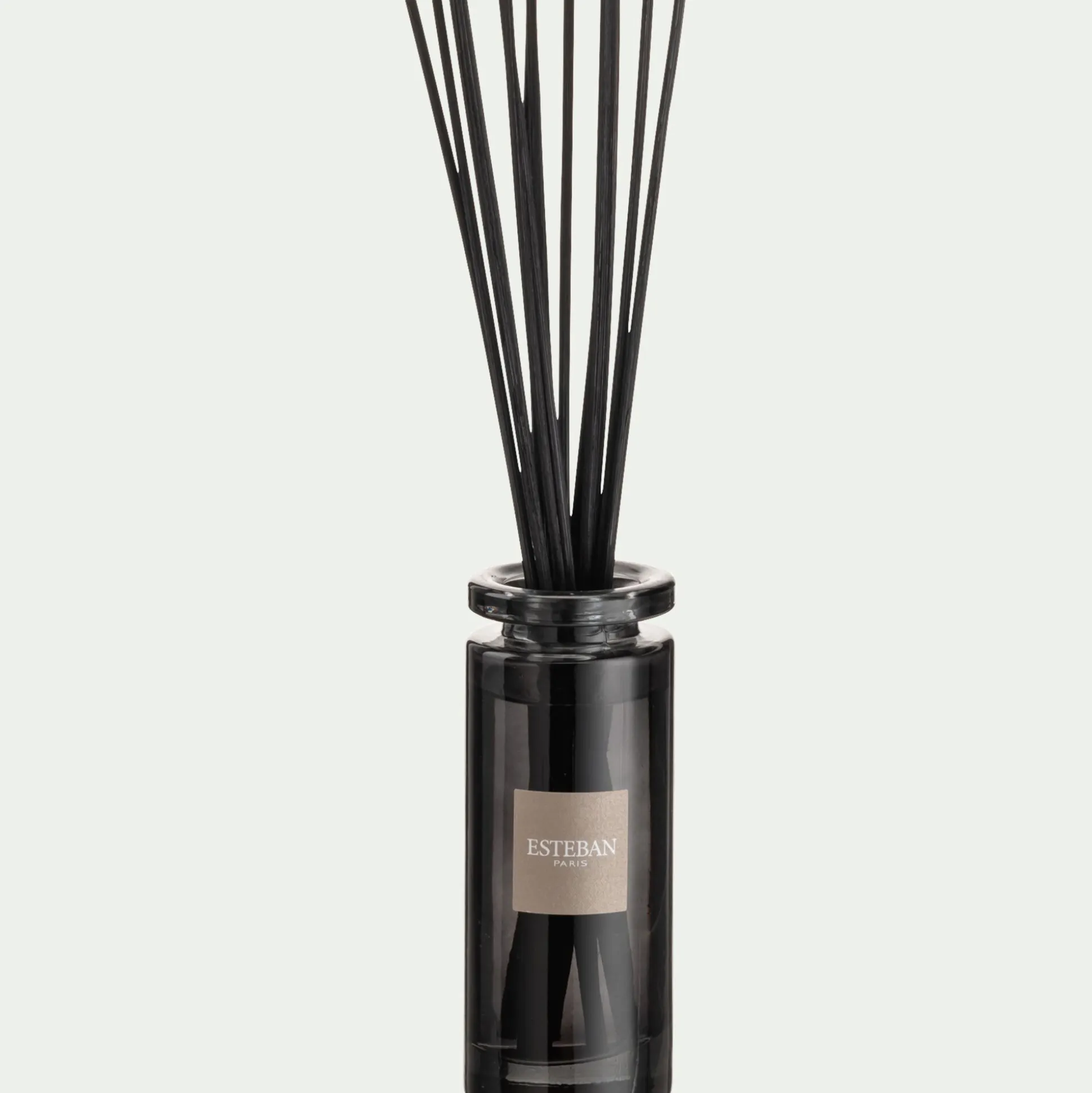 Diffuseur de parfum senteur Iris Cachemire 100ml