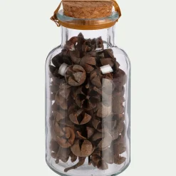 Flacon déco végétaux séchés - transparent (modèle aléatoire)