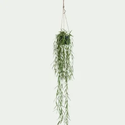 Hoya artificiel H80cm - vert