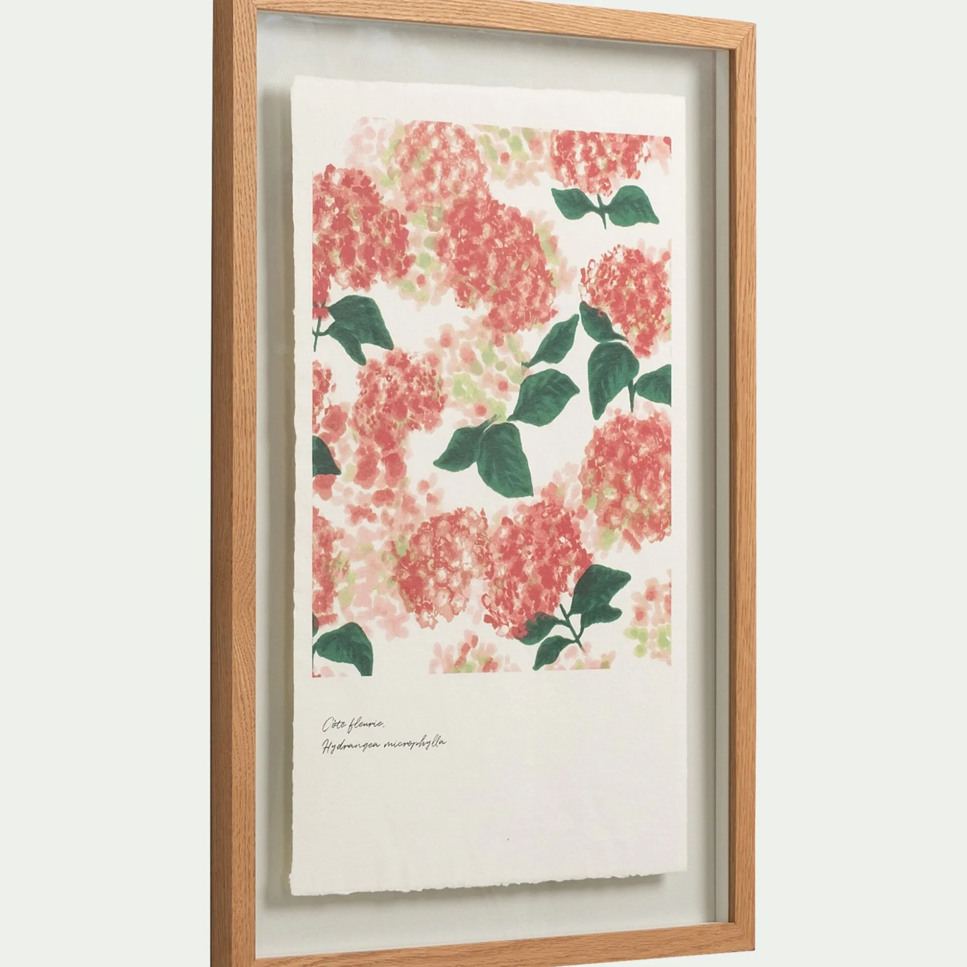 Image encadrée d'hortensias 45x63cm - rose