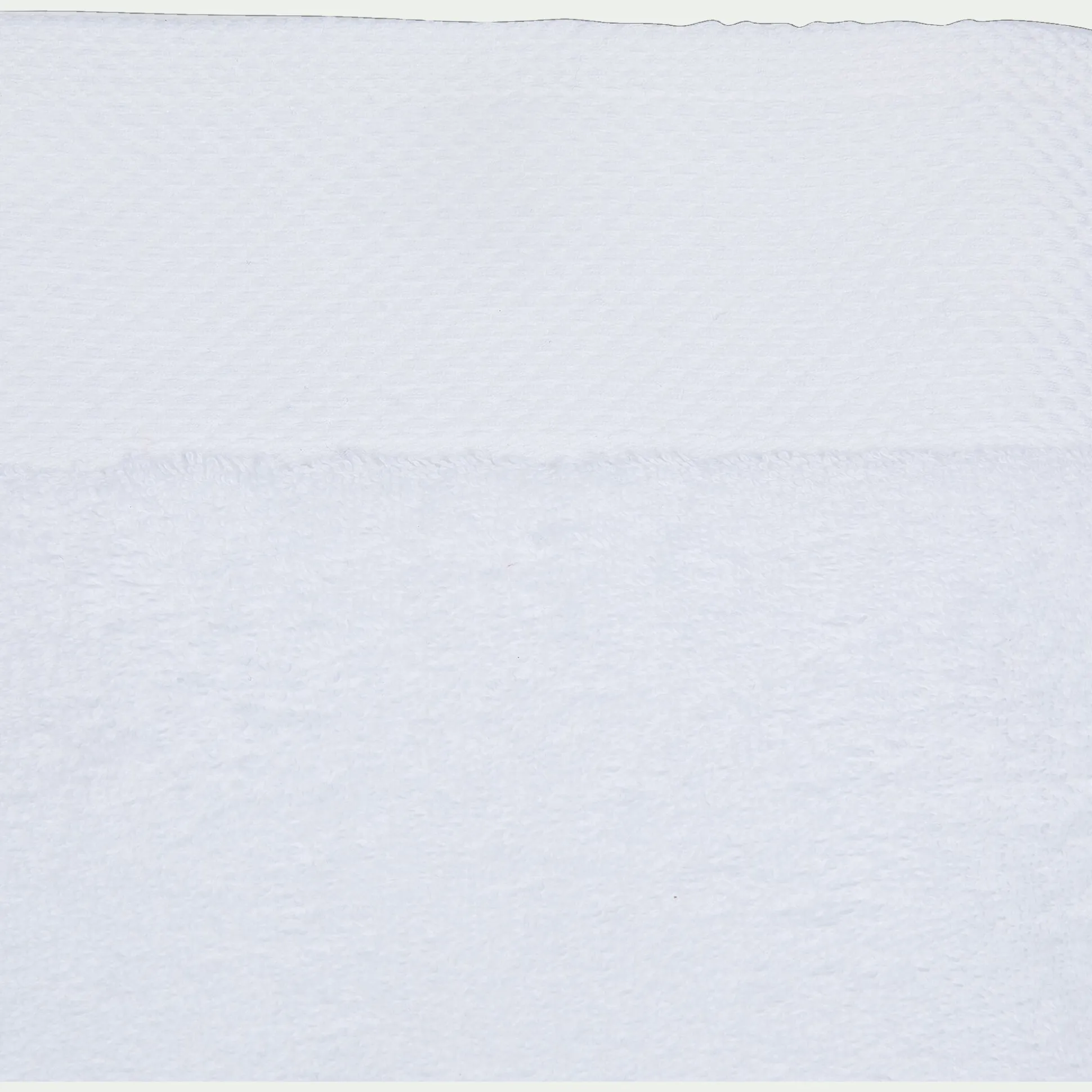 Lot de 2 serviettes invité en coton peigné - blanc optique 30x50cm