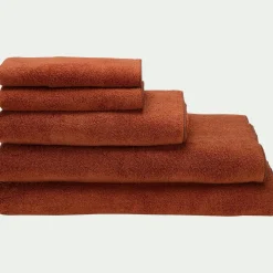Lot de 2 serviettes invité en coton 30x50cm - brun rustrel