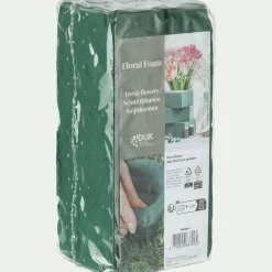 Mousse pour fleurs - vert