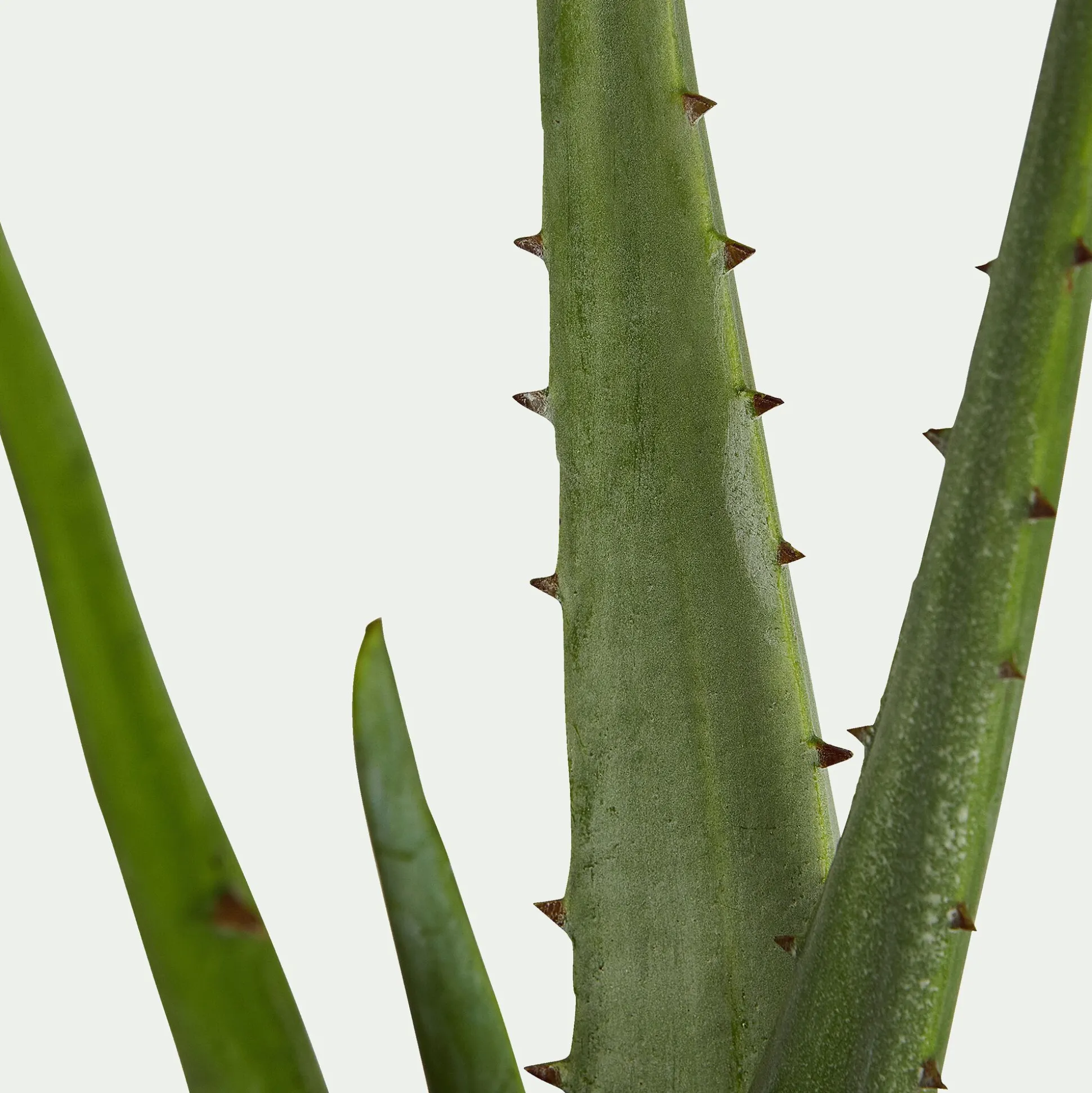 Plante artificielle aloe - vert H52cm