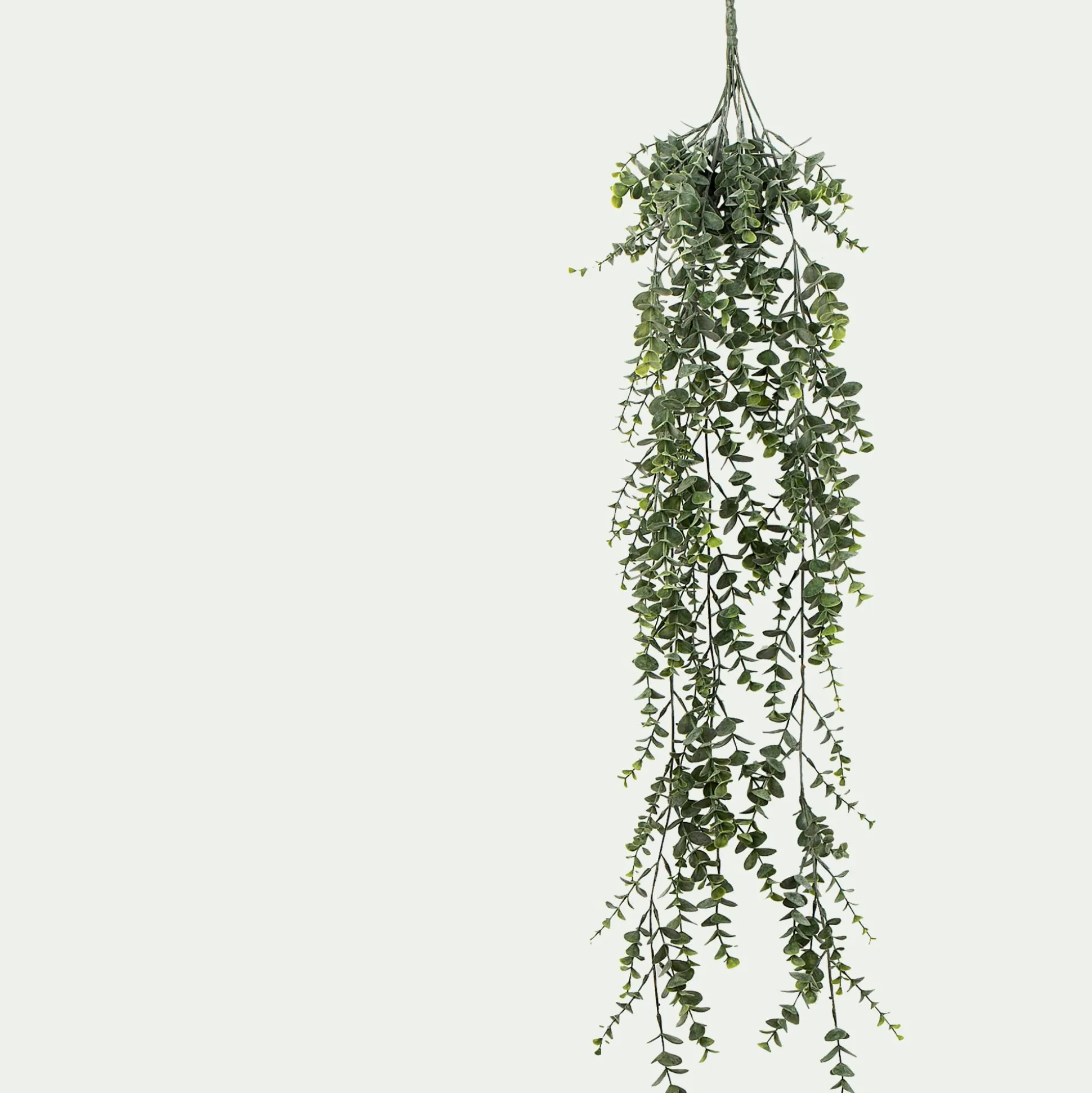 Plante eucalyptus artificielle tombante à suspendre - vert L78cm