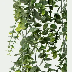 Plante eucalyptus artificielle tombante à suspendre - vert L78cm