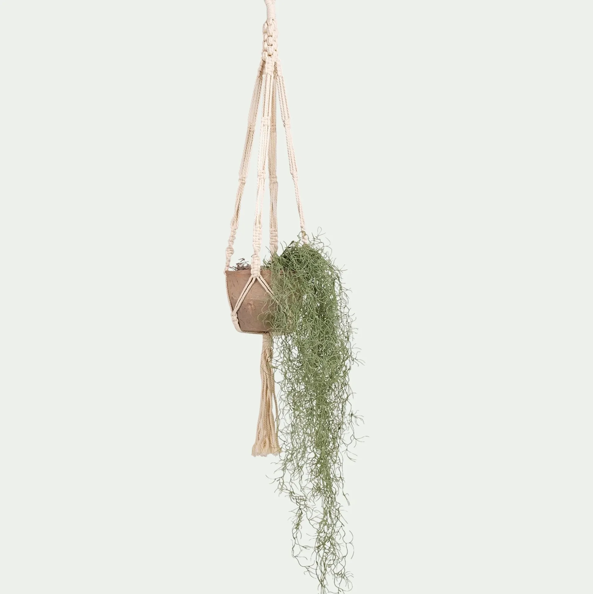 Plante tillandsia artificielle tombante avec pot suspendu H130cm - vert