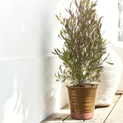 Pot bicolore en terre cuite D29cm - jaune
