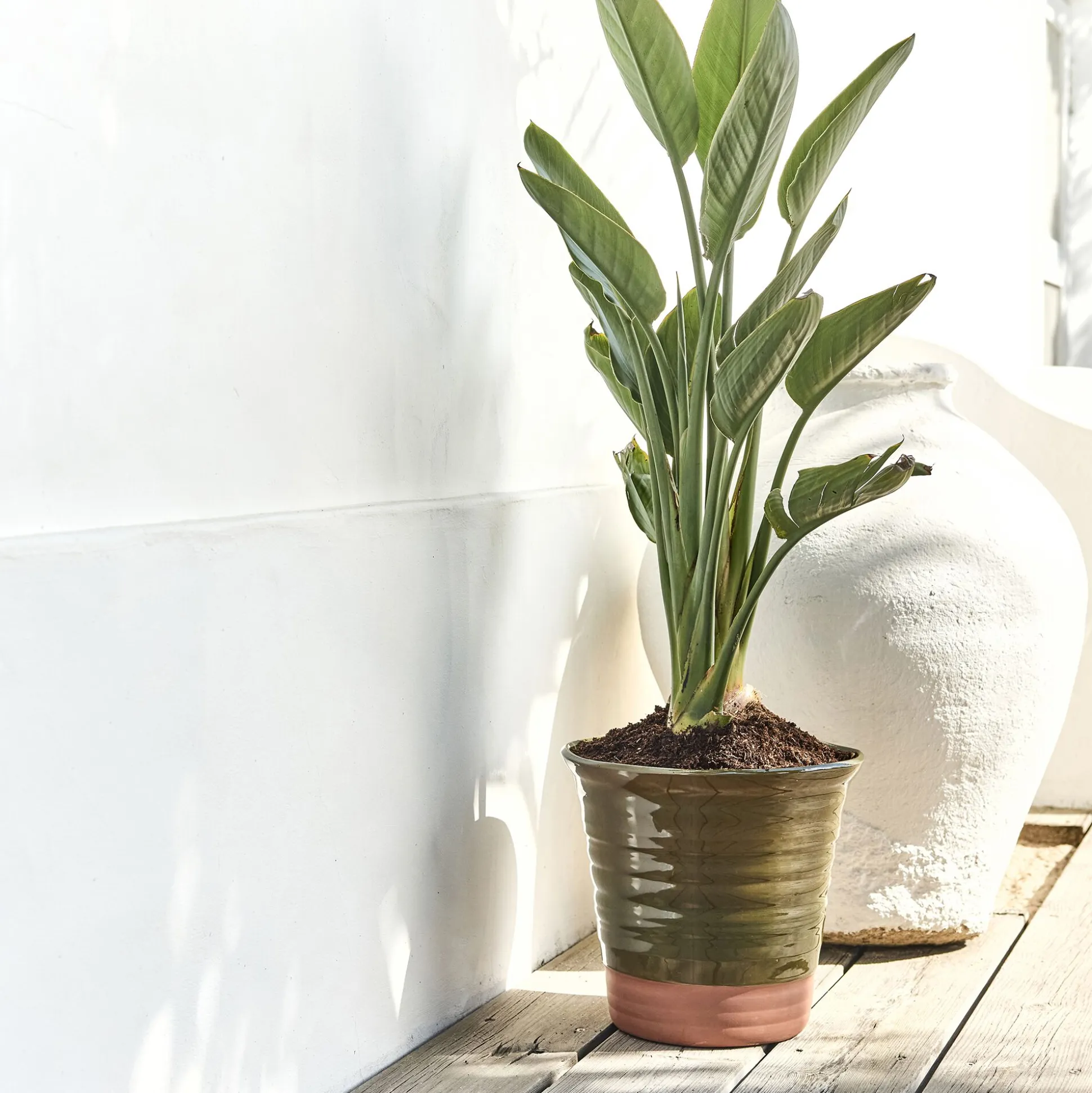 Pot bicolore en terre cuite D29cm - vert