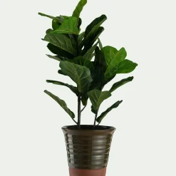 Pot bicolore en terre cuite D29cm - vert