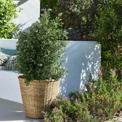 Pot en bambou D48xH46cm - naturel