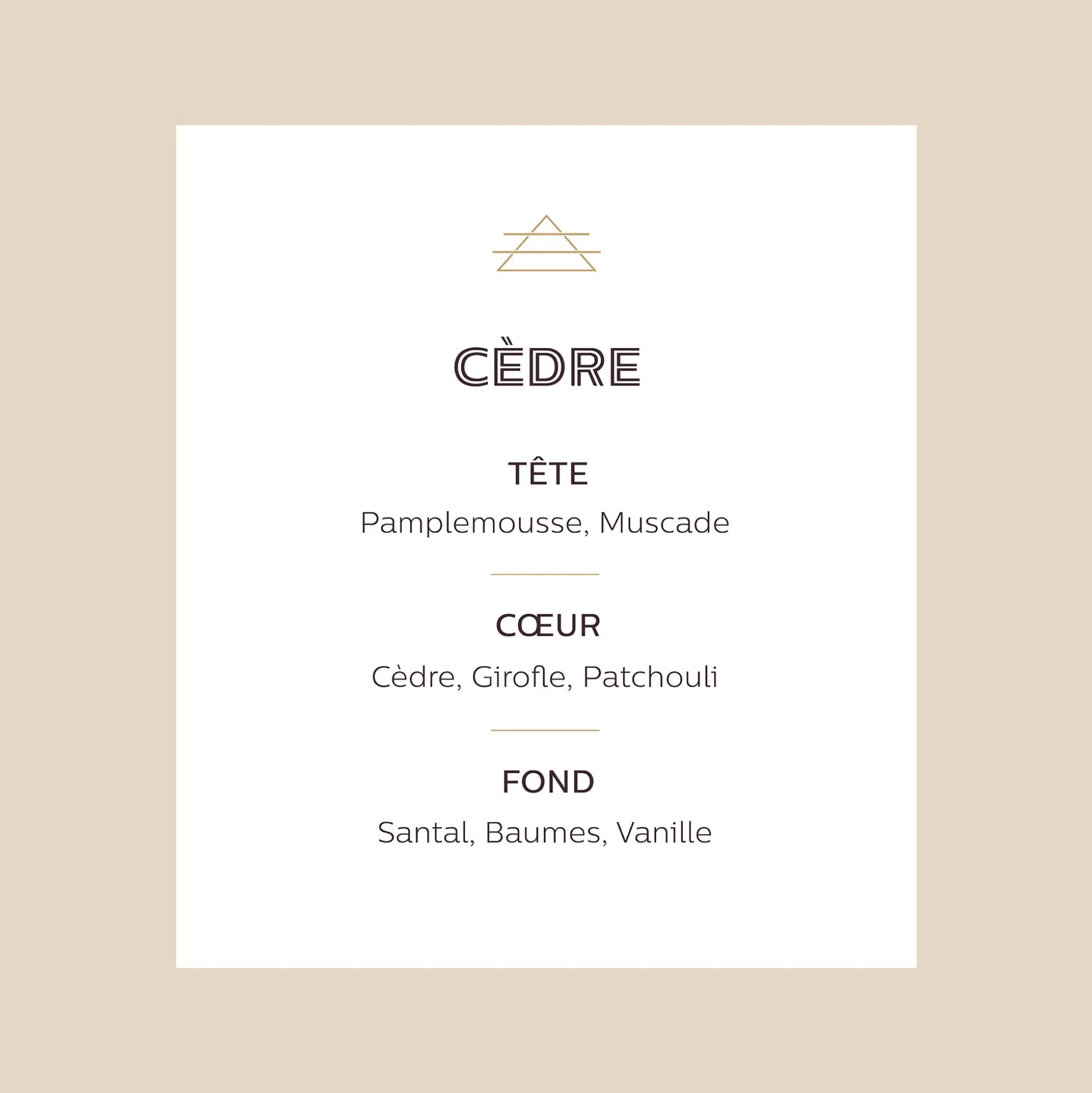 Recharge pour diffuseur cèdre 250ml