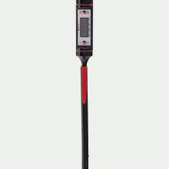 Thermomètre de cuisine digital électronique à sonde en inox - argenté métallisé