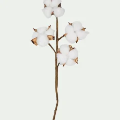 Tige artificielle de coton - blanc H19cm