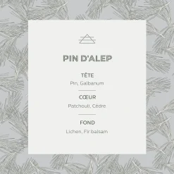 Vaporisateur senteur pin d'Alep 100ml